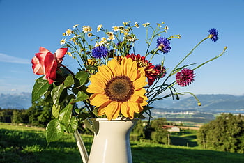 bouquet Of Flowers, flower, sunflower, still Life, summer, chamomile, petals, multicoloured, romantic, decorative, yellow