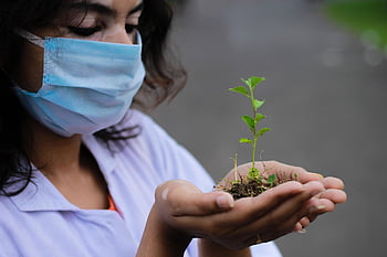 plante, sætteplante, natur, forskning, hænder, maske, ansigtsmaske, plantning, tæt på, læge, amme