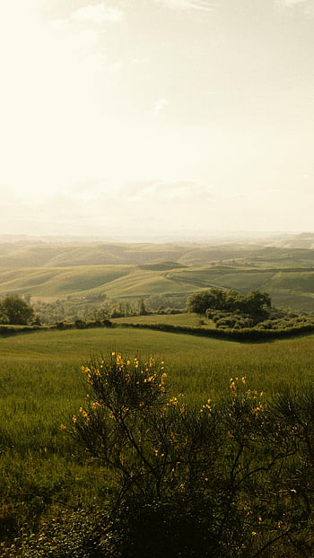 Toscana, Italy, rolling hills, sunset, rural landscape, tranquility, warmth, fields, countryside, natural beauty, scenic view