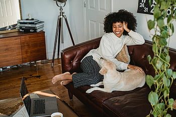 lächelnde schwarze Dame, mit hund spielen, Sofa, Glückliche Frau, entspannender Moment, gemütliches Wohnzimmer, Hund, Wohnzimmer Einstellung, farbige Frau, Haustier, häuslicher Komfort