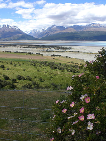 lake Tekapo, south Island, new Zealand, lake, nature