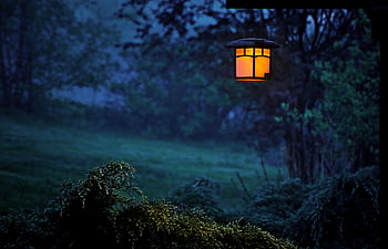 selective focus photography, turned-on black metal framed light sconce, serene outdoor night scene, glowing lamp, illuminating foggy woods, outdoor lighting, night photography, foggy atmosphere, outdoor lamp, night scene, black metal frame