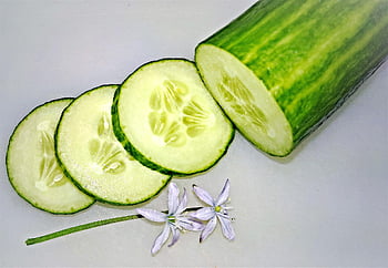 okurka, zelenina, zelená okurka, salát, jídlo, výživa, čerstvý, zdravý, vegan, zelená, rozříznout