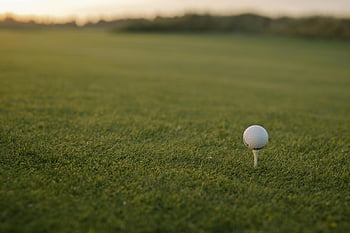 golfbold, tee, grønt græs, solnedgang, tæt på, golfbane, udendørs, sport, natur, golf udstyr, golf
