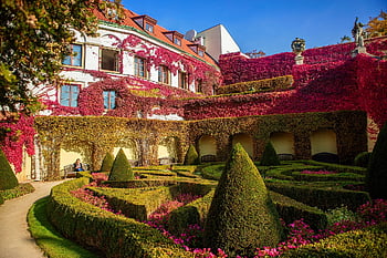 garden, park, nature, house, outdoors