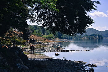 lake, laguna, landscape, nature, water, view, holiday, scenic, summer, latin America