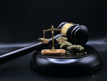 legalizace, palička, legalizovat, plevel, spravedlnost, zákon, nařízení, thc, cbd, vysoký, kush