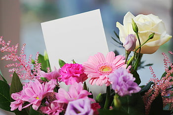 White Rose, Pink Daisy, colorful bouquet, blank card, perfect occasion, floral arrangement, flower gift, decorative flowers, garden flowers, floral display, flower bouquet