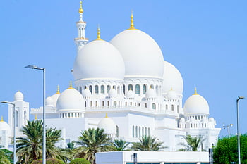 Şeyh Zayed Camii, Mavi gökyüzü, mimari ihtişam, gökyüzü açık, ikonik cami, beyaz kubbeler, Abu Dabi, uae, dini mimarlık, Palmiye ağaçları, Ulu Cami