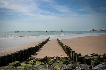 spiaggia, costa, frangiflutti, Vegetazione di alghe, linea di galleggiamento, Canal Grande, traffico navale, paesaggio, sfondo spiaggia