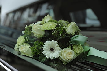 flowers, flower Wallpaper, beautiful Flowers, funeral, memorial, flower Background, goodbye, mourning, cemetery, nature, religion