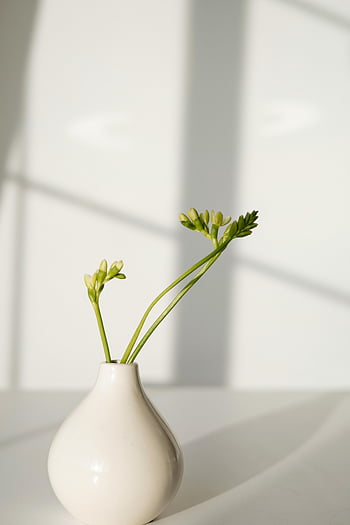 weiße Keramikvase, Minimalistische Vase, grüne Stiele, weicher Hintergrund, Tulp -Vase, minimalistisches Dekor, weiße Vase, Zimmerpflanzen, moderne Einrichtung, einfaches Design, natürliches Licht