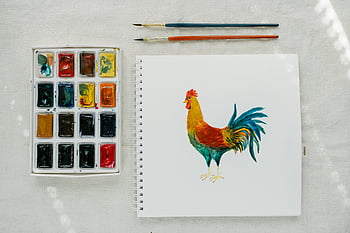 akvarel maleri, hane, malepaletten, børster, farverig kunst, bord, kunstnerisk skabelse, Akvarelteknikker, kunstneriske værktøjer, kreativ proces, hane kunst