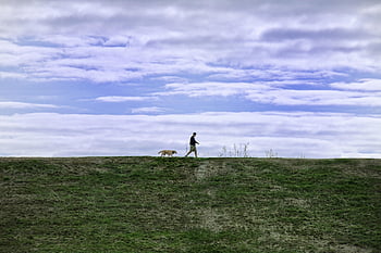 man, dog, waling, nature, pet, buddy, friendship, leadership, retriever, loyal, sky