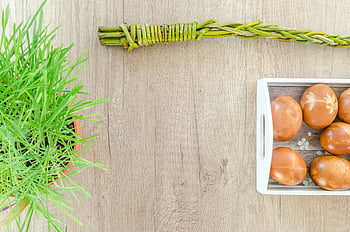 vlak leg fotografie, Paas eieren, groene plant, houten tafel, lentethema's, ingerichte eieren, bovenaanzicht, wilg, natuurlijke inrichting, feestelijke decoratie, seizoensgebonden weergave