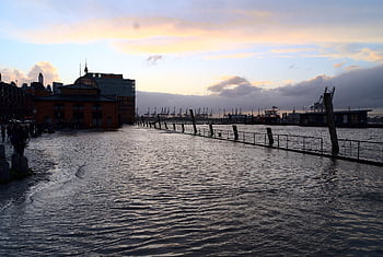 hamburg, fischmarkt, sturmflut, Überschwemmung, flood, port, harbour, water, coast, river, flooded
