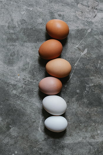 닭고기 달걀, 분류 된 알, 갈색 계란, 흰 계란, 회색 테이블, 소박한 콘크리트, 부엌, 평면도, 계란 배열, 콘크리트 표면, 음식 사진