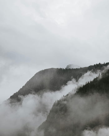 mountain, trees, fog, Bavarian Alps, Schönau am Königssee, Germany, foggy morning, scenic view, natural landscape, forested mountain, misty atmosphere