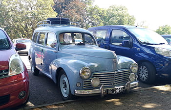 peugeot, 203, Commerciale, chalon sur saone, macchina vintage, macchina classica, macchine parcheggiate, Parcheggio all'aperto, auto blu, targa, alberi