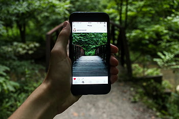 smartphone, γέφυρα, δάσος, ημέρα, φυσική ρύθμιση, ΚΡΑΤΗΜΑ χεριων, λήψη φωτογραφιών, εξωτερική φωτογραφία, φύση, ψηφιακή λήψη, γραφική θέα