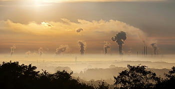 trees, smoke, factory chimneys, sunrise, pollution, environmental impact, industrial pollution, air pollution, factory smoke, environmental damage, industrial landscape