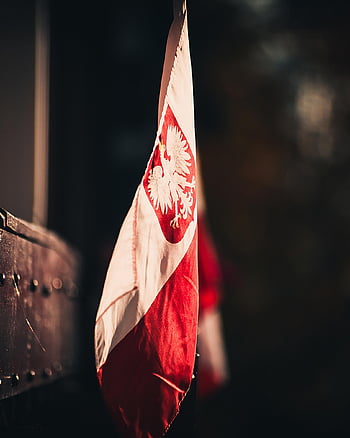flag, poland, independence, homeland, holiday, patriotism, patriotic, symbol, nation, nationality, polish Flag