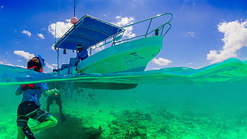 tourism, boat, cancun, holiday, mexico, beach, sea, summer, nature, exotic, blue