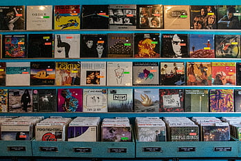 Records de vinilo vintage, Tienda de música de Orlando, discos CD variados, exhibición de discos de vinilo, estantes de tiendas de música, colección de vinilo, tienda de música Orlando, discos de vinilo Orlando, exhibición de la tienda de música, variedad de discos de vinilo, Surtido de la tienda de música