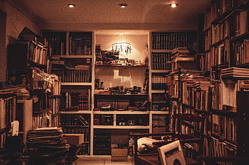 library interior, warmly lit, home library, diverse collection, books, cozy atmosphere, bookshelves, indoor lighting, reading space, personal library, book collection