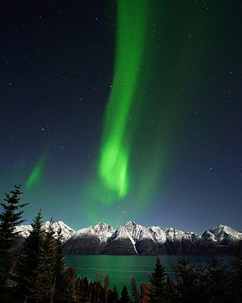 cahaya utara, lampu kutub, pemandangan musim dingin, pegunungan yang tertutup salju, Nordland Norwegia, aurora borealis, Aurora yang menakjubkan, langit malam, keajaiban alam, malam berbintang