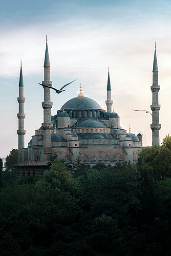 Blue Mosque, Istanbul, Turkey, domes, minarets, birds flying, beautiful view, historical architecture, Islamic architecture, travel destination, landmark