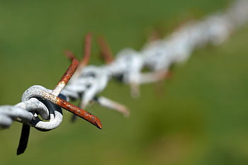 barbed Wire, rusty, depth Of Field, wire, fence, metal, weathered, security, boundary, barbwire