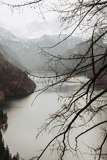 lake, mountains, Bavarian Alps, foggy view, lakeside, serene natural beauty, winter landscape, snow-covered peaks, bare branches, tranquil scene, alpine scenery