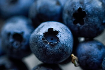 coacăze, boabă, sănătos, albastru, vitamine, proaspăt, fruct, organic, sănătate