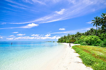 plages tropicales, atoll de laamu, Maldives, vacances reposantes, rivage, des arbres, sable blanc, eau claire, palmiers, ciel bleu, destination de vacances