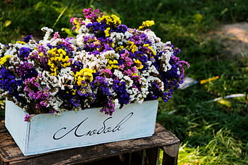 purple flowers, colorful wildflowers, rustic box, outdoor sunlight, floral arrangement, garden decor, natural beauty, vibrant blooms, rustic charm, outdoor flowers, wildflower display
