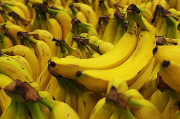 pisang kuning segar, Pisang matang, buah tropis, pisang close-up, banyak pisang, buah kuning, Pisang Segar, Banding tropis, Cluster pisang, pisang kuning matang