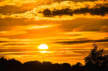 solnedgång, gyllene timmen, träd silhuett, livlig himmel, dramatisk solnedgång, landskap, moln, natur, kväll, Sol, horisont