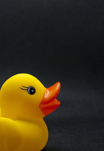 duck, toy, bath, yellow, funny, rubber, play, cute, fun, plastic, blue Funny