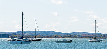 plachta, lodí, plachtění, přeprava, přístav, moře, oceán, jachta, modrý, nebe, doprava