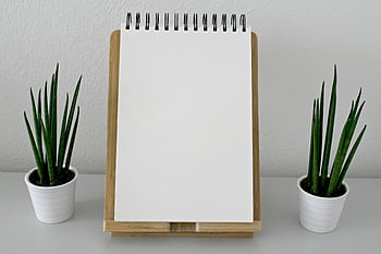 bílá kniha kreslení, Minimalistické nastavení stolu, prázdný poznámkový blok, hrnkové rostliny, Čistý moderní vzhled, jednoduchý stůl, bílý poznámkový blok, stolní rostliny, moderní stůl, minimalistický pracovní prostor, Bílé hrnce