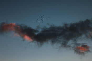 birds in flight, clouds at sunset, sky during sunset, sunset cloudscape, cloudy sky, landscape photography, nature scene, evening birds, dramatic clouds, twilight sky, natural beauty