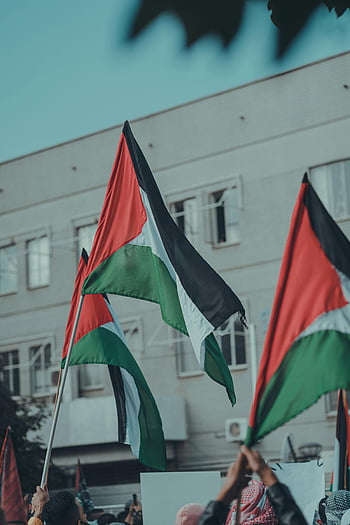 Palestinské vlajky, Venkovní rally, mír a jednota, dav, protest, demonstrace, Palestina, vlajky, lidé, budova, událost