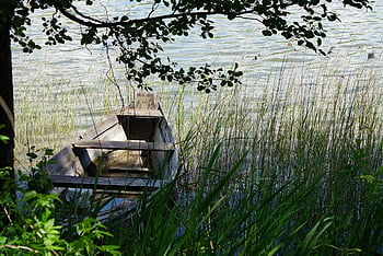 dřevěná loď, Lodž, rákosí, voda, jezero, řeka, rybník-voda, pískavý, veslice, vesla, Příroda