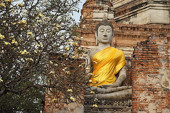 Budda, scultura, statua, tempio, Tailandia, buddismo, yoga, religione, meditazione, buddista, Asia