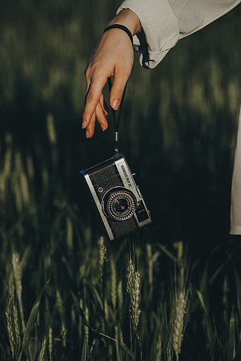 vintage camera, close-up, hand holding, green grass, outdoors, Brazil, film camera, Olympus Trip 35, photography, nature, outdoor photography