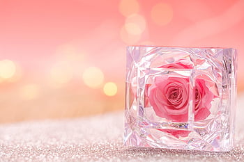 rose, flower, blossom, bloom, crystal, gift, parcel, love, happy Mothers Day, rose Flower, romance