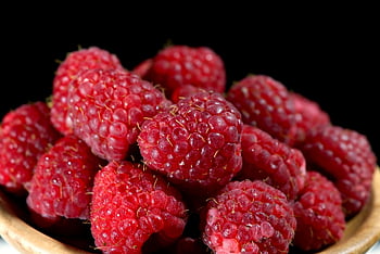fruct, zmeură, organic, boabă, proaspăt, sănătos