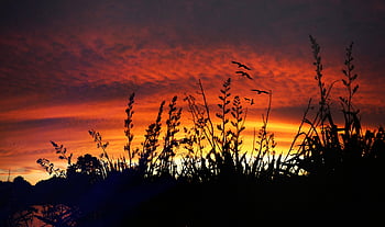 evening, sky, dusk, clouds, warm, orange, climate, sunset, sun, dawn, landscape