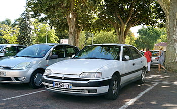 ルノー、 サフレーン、 車、 パーキング、 木、 人、 ナンバープレート、 銀、 車両、 屋外、 フランス